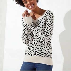 LOFT Cream and Black V-Neck Sweater